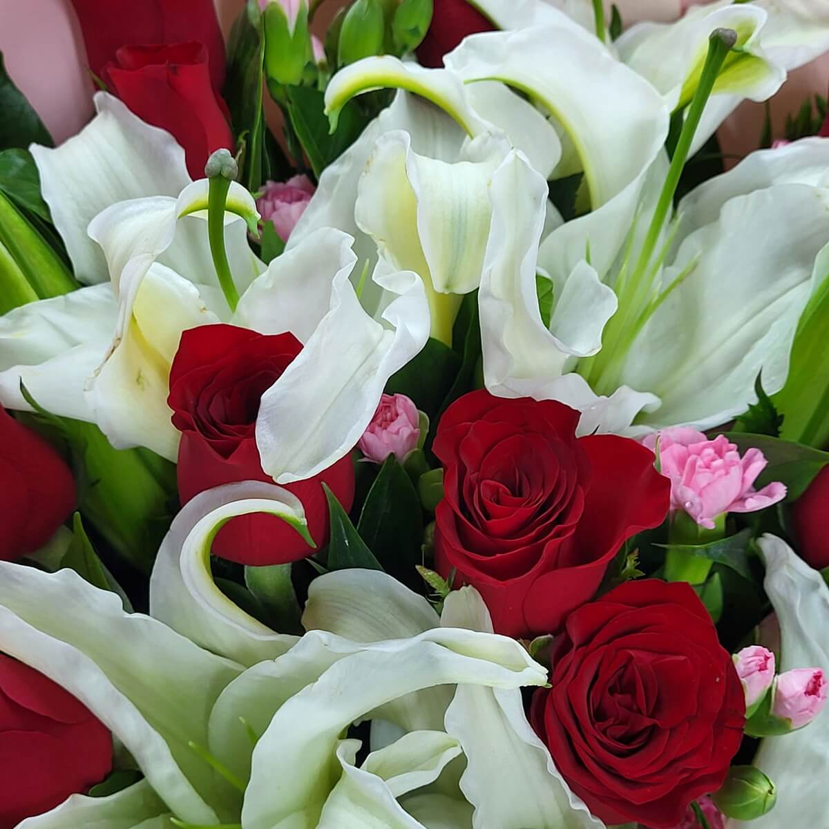 Close-up of white calla lilies paired with red roses and pink spray carnations 馬蹄蓮花瓣潔白優雅，與紅玫瑰及粉色迷你康乃馨搭配，綠葉點綴營造清新層次感。