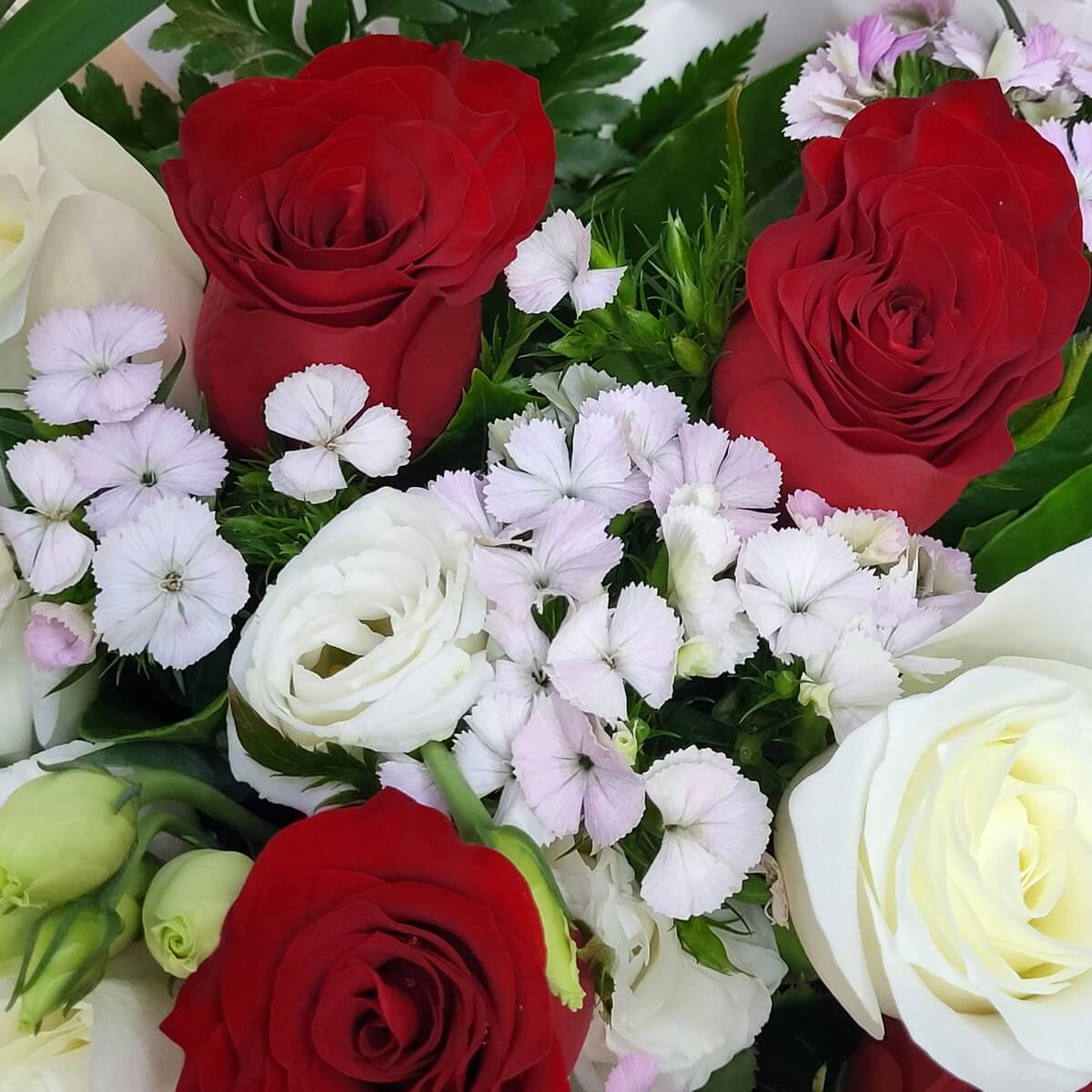 Red and white roses with lisianthus and dianthus - 紅白玫瑰配白色洋桔梗與淡紫石竹花的清新花藝組合。