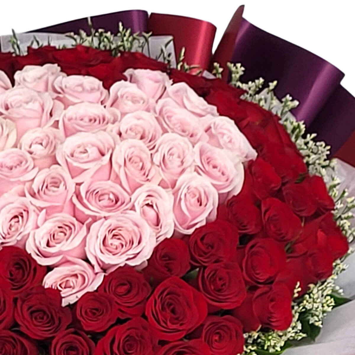 A dramatic display of soft pink roses framed by deep red roses, wrapped in maroon and purple paper 甜美粉玫瑰搭配熱情紅玫瑰，濃情密意包裹於紫紅包裝中，傳遞愛的誓言。