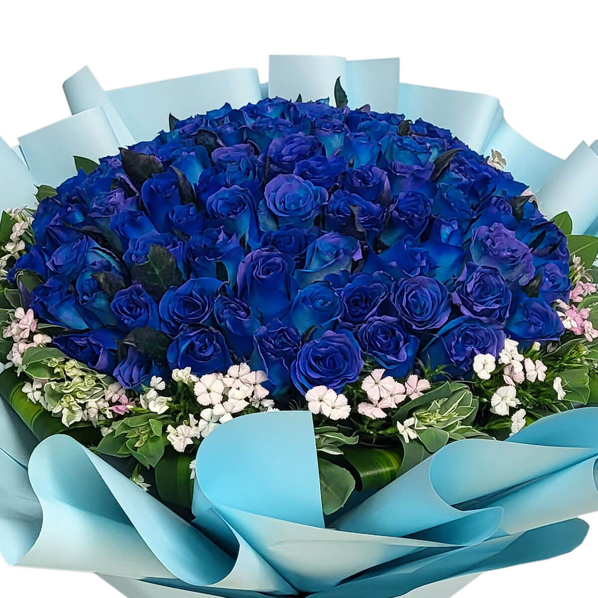 A striking dome of rich blue roses encircled by pink and white blooms, wrapped in icy blue paper 鮮藍玫瑰如夜空星辰般燦爛，襯以粉白小花與清新藍紙包裝，傳遞浪漫與深情。