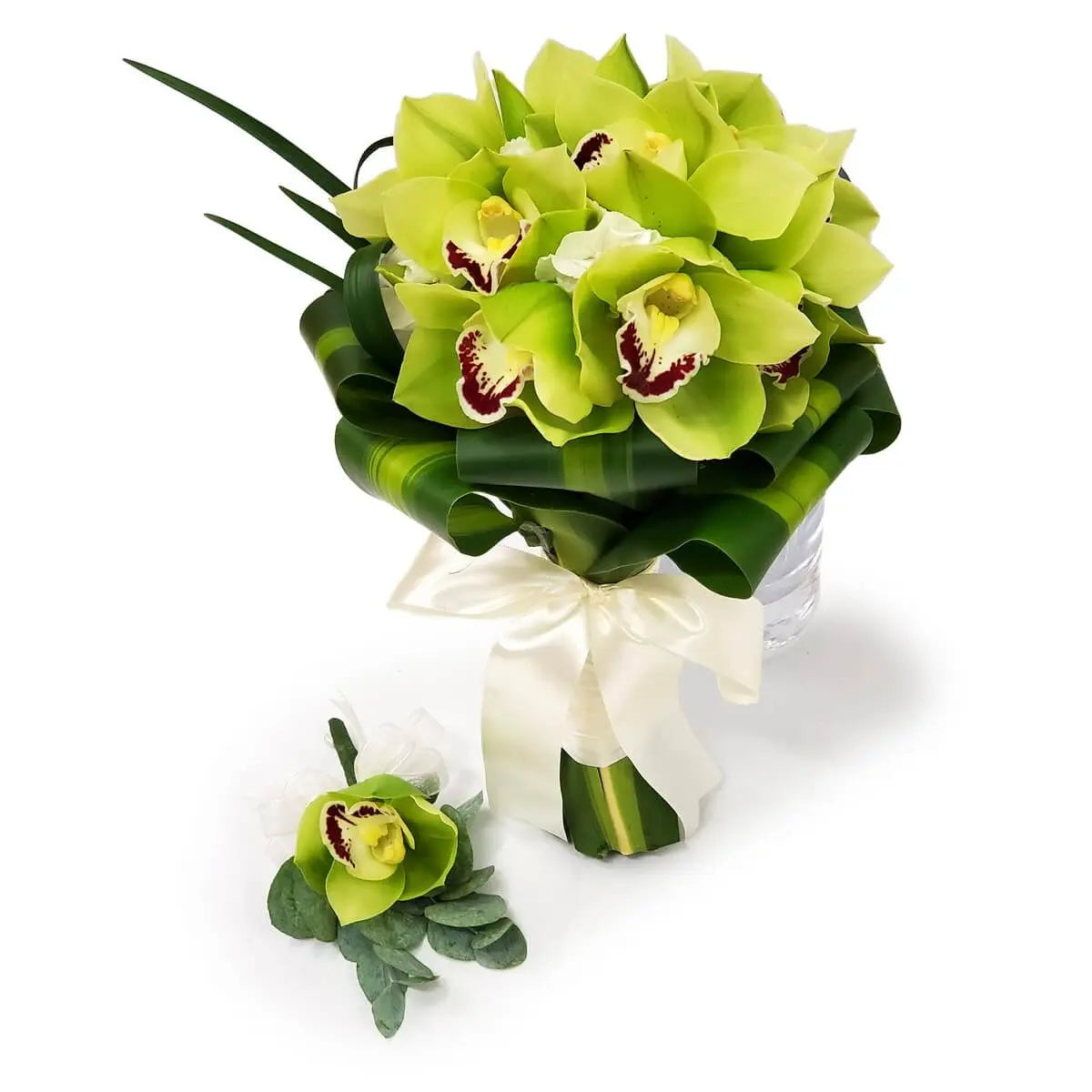 Round bouquet of green cymbidium orchids, curled tropical foliage, and ivory satin ribbon, with matching boutonnière. 圓形手綁花球由綠色蝴蝶蘭及卷葉熱帶葉材組成，以象牙白絲帶綁扎，配搭同款襟花。