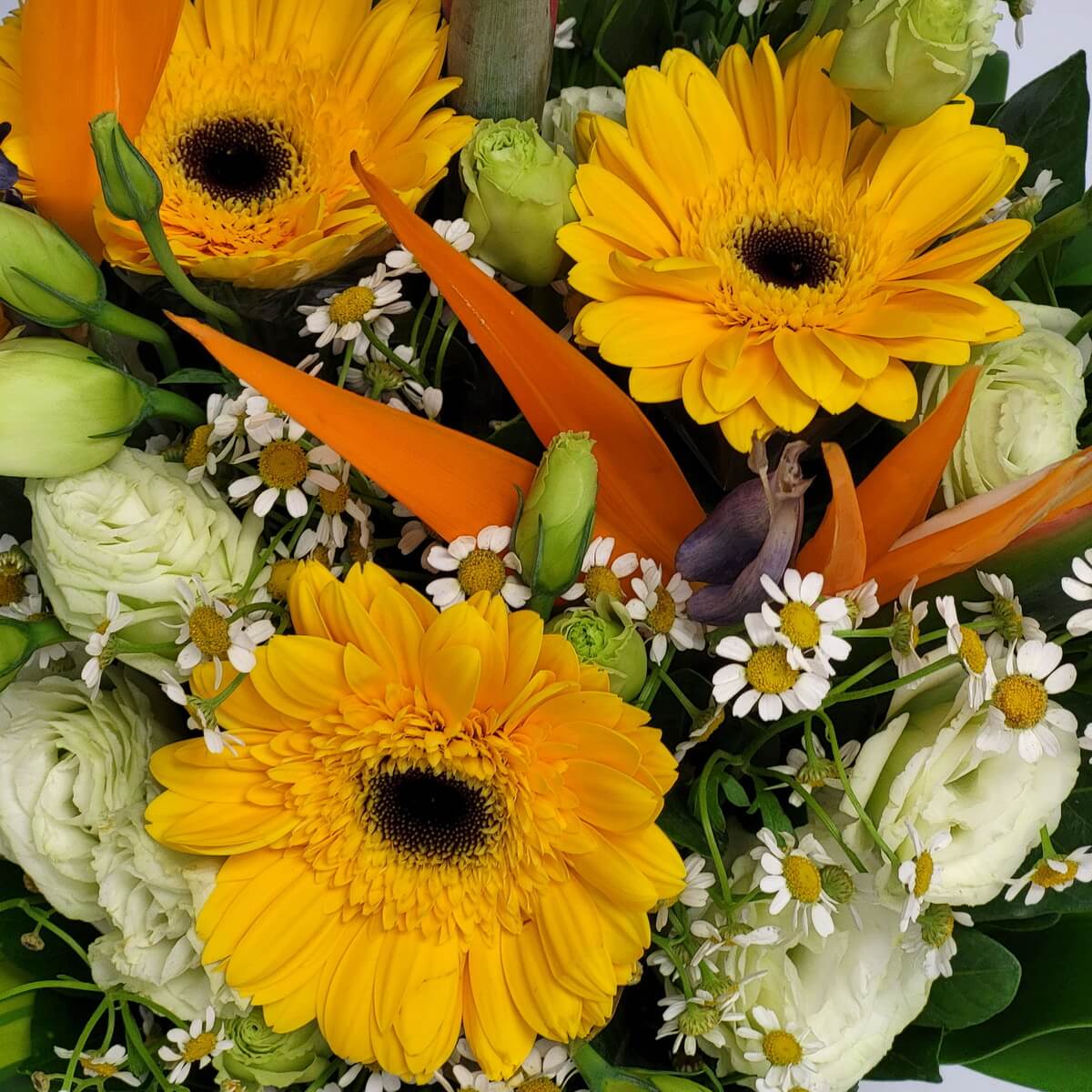 Detail view of yellow gerberas, orange bird of paradise flowers, white lisianthus, and chamomile creating a bright, textured arrangement 黃非洲菊、橙天堂鳥、白洋桔梗與洋甘菊構成色彩明亮富層次感的花材細節特寫