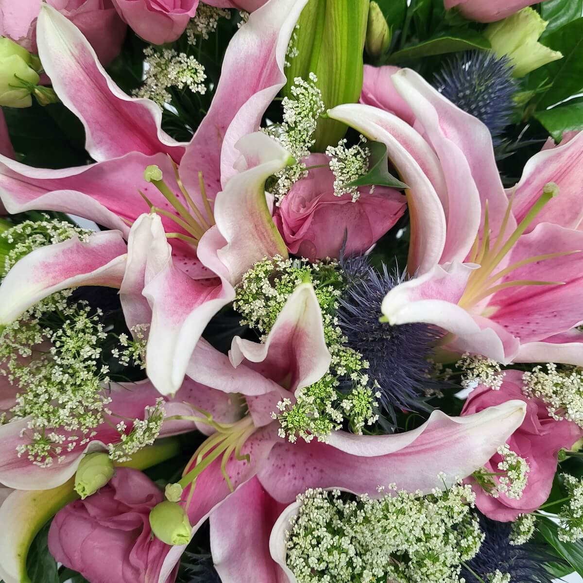 Close-up of pink stargazer lilies and pink roses with white Queen Anne’s lace and blue eryngium accents | 特寫粉紅香水百合與玫瑰，搭配白色蕾絲花與藍色松果菊點綴