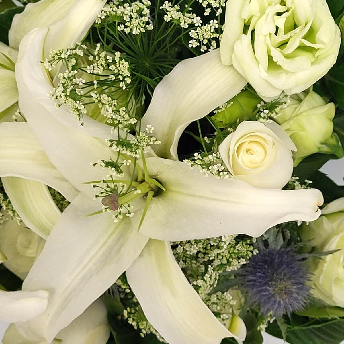 Close-up of white lilies, cream roses, lisianthus, Queen Anne's lace, and blue eryngium with soft greenery | 白百合、奶油玫瑰、洋桔梗、蕾絲花與藍色松球花特寫，綠葉襯托其中