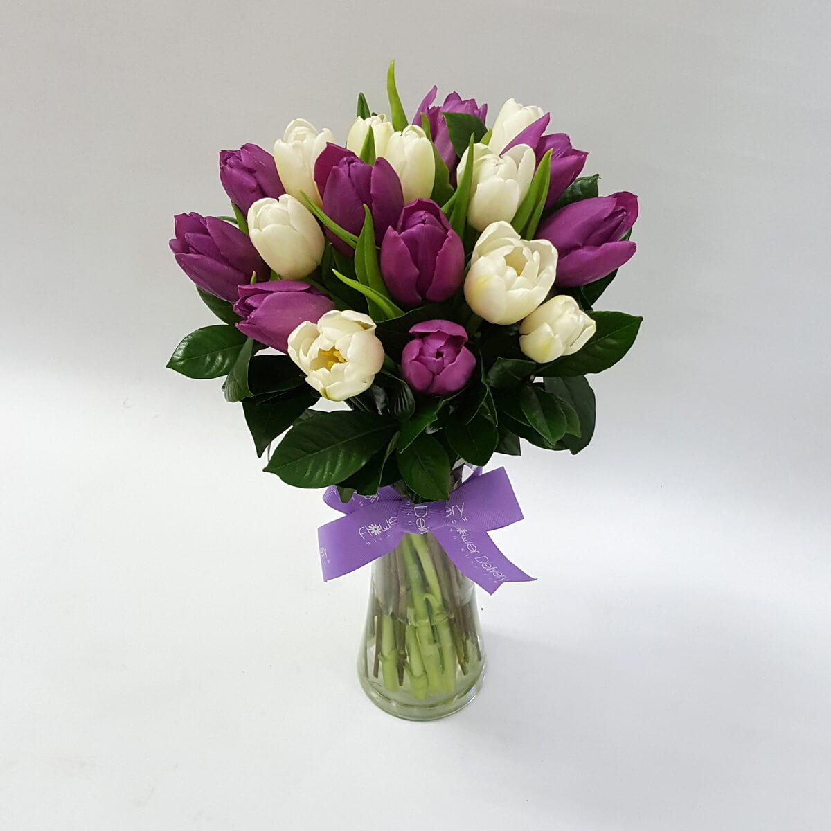 Chic arrangement of purple and white tulips in a glass vase, tied with a lavender ribbon 紫色與白色鬱金香交錯綻放，玻璃花瓶承托，淡紫絲帶點綴，展現優雅氣息。