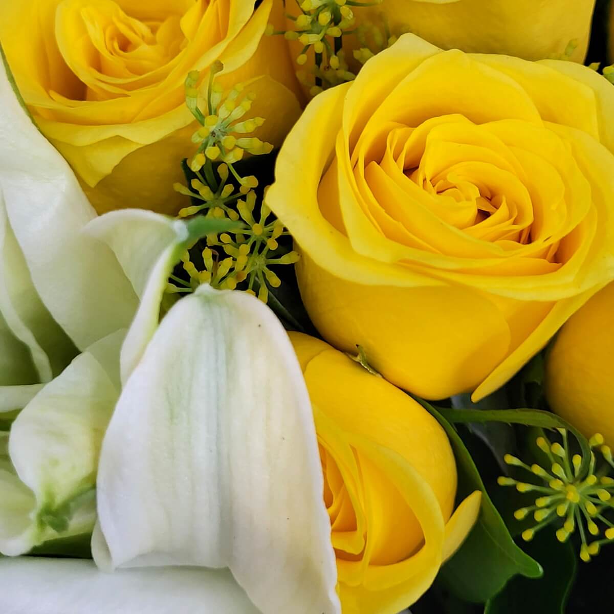 Detailed close-up of golden yellow roses with soft white lily petals and fresh greenery - 金黃玫瑰與白百合特寫，綠葉相襯，層次分明。