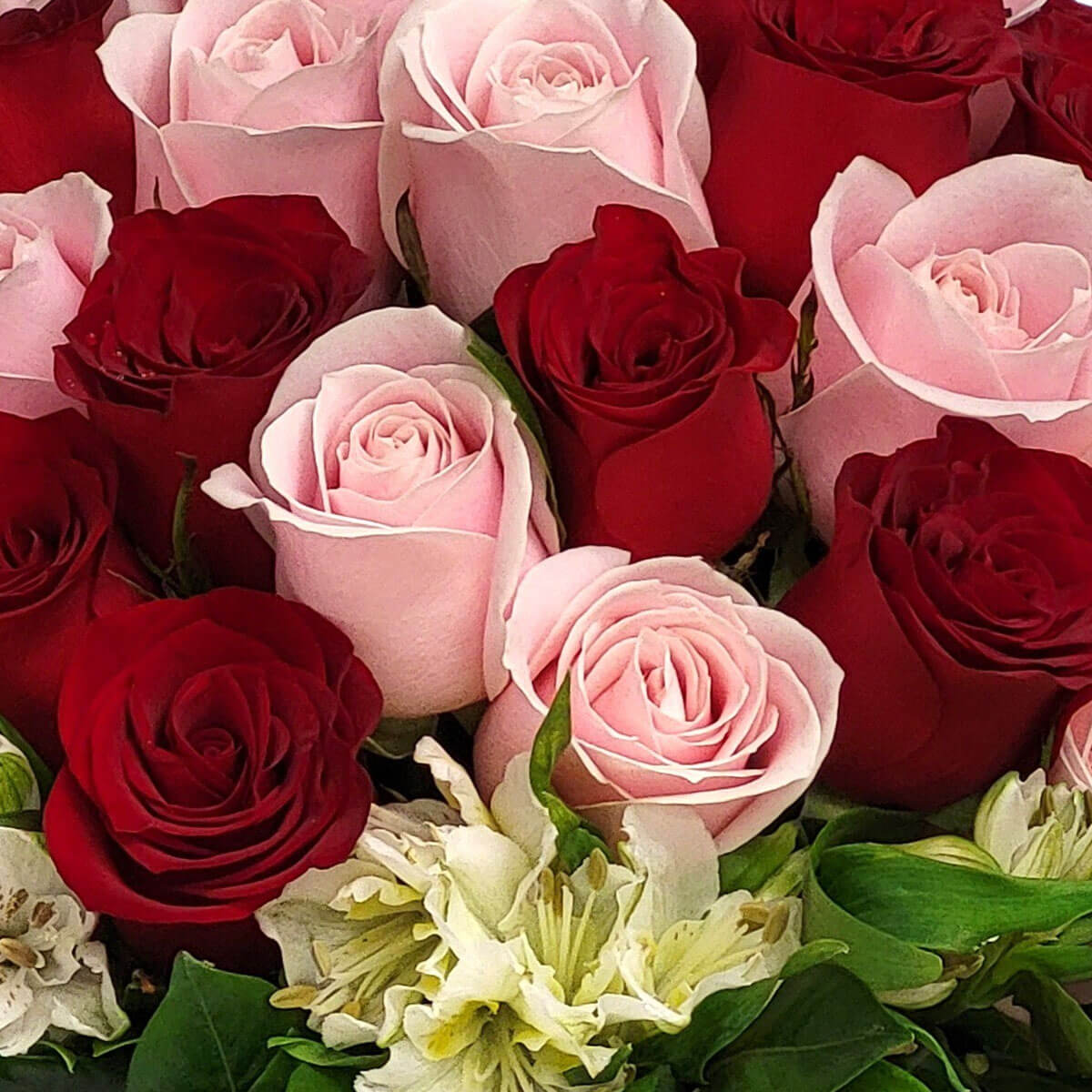 Pink and red roses accented with white lilies and greens create a classic romantic bouquet 粉紅與深紅玫瑰搭配白色百合與綠葉，呈現愛意濃郁的經典花束設計。