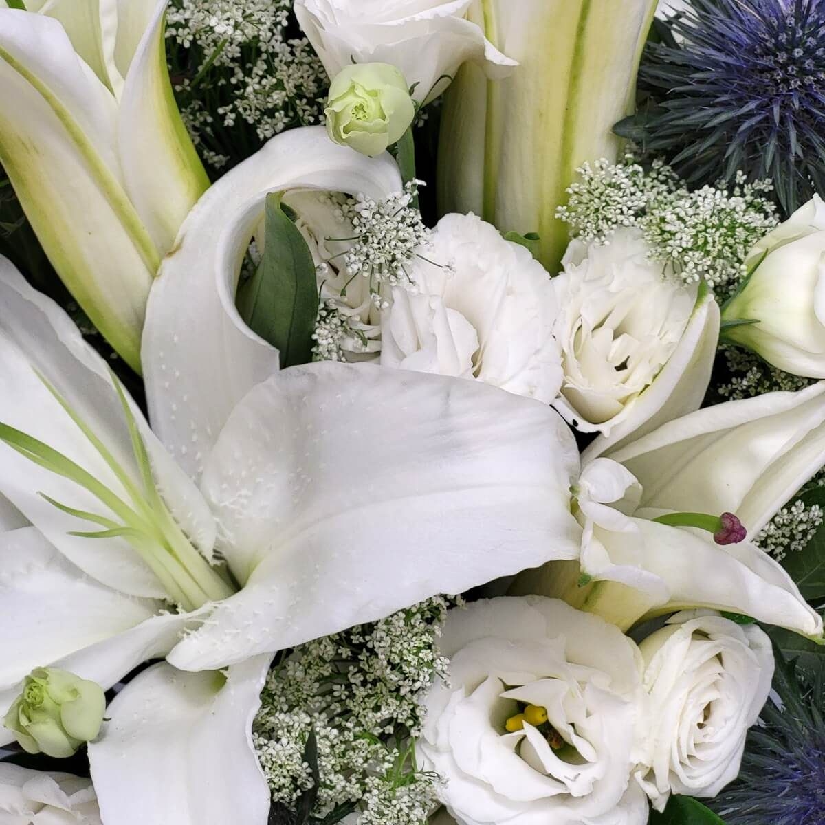 Detailed view of white lilies, lisianthus, roses, Queen Anne’s lace, and blue eryngium | 白百合、桔梗、玫瑰與蕾絲花特寫，配藍松球花點綴