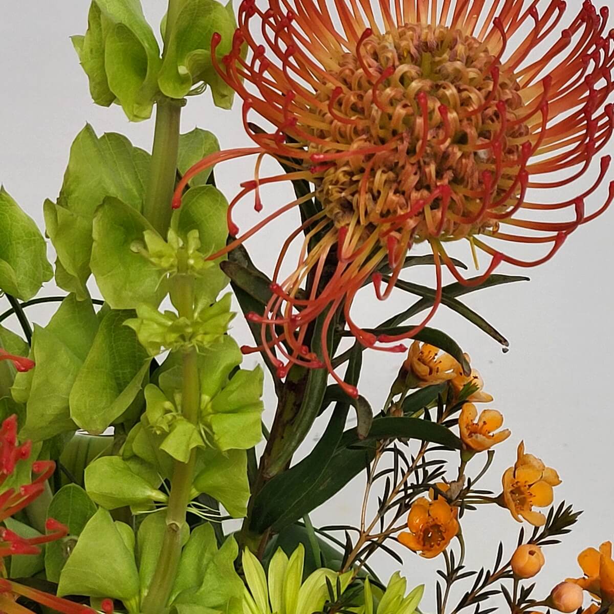 Zoomed-in view of orange pincushion protea with bells of Ireland and scattered orange waxflowers - 橙色針墊花配愛爾蘭鈴及點綴橙色蠟花的放大視角