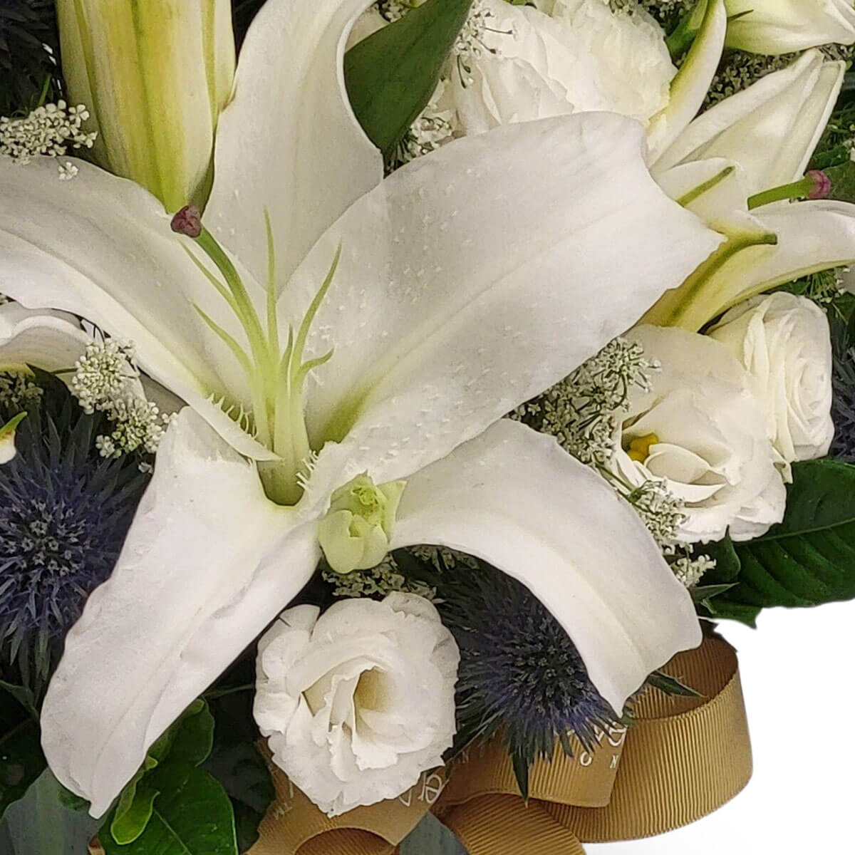 Elegant white lilies, ivory roses, and blue thistles create a serene bouquet 百合與象牙白玫瑰交織海葵球，象徵純淨與祝福，是典雅而心意深遠的花禮。