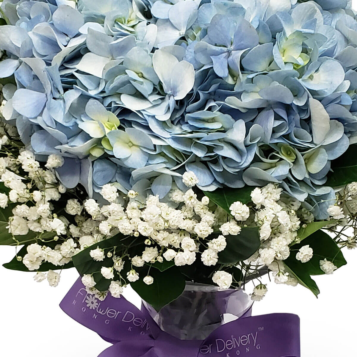 Close-up of voluminous blue hydrangeas combined with delicate white baby's breath and glossy green leaves, finished with a lavender ribbon - 藍繡球花配細緻白滿天星與亮綠葉，配上淡紫絲帶的近拍圖
