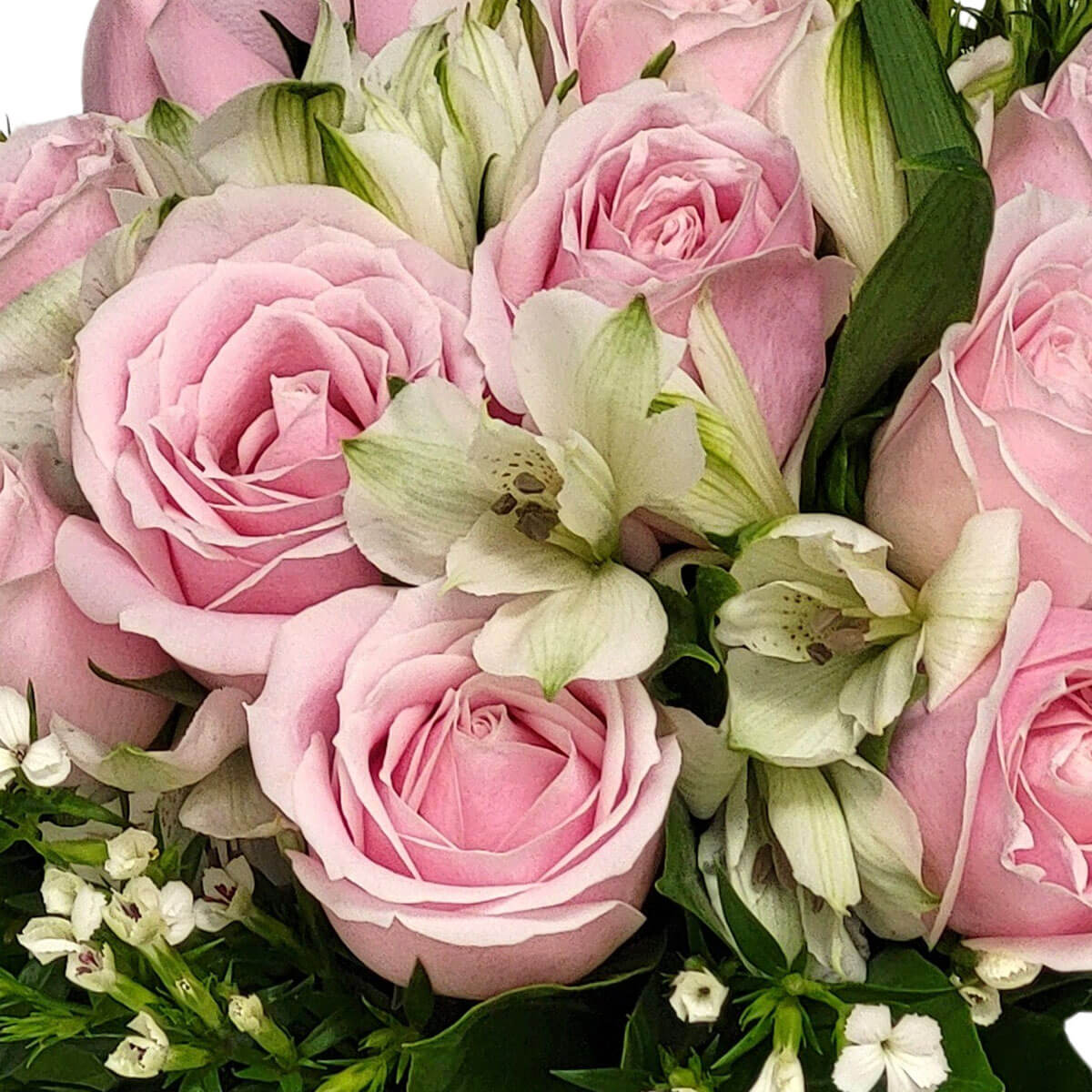 A bouquet of pale pink roses and white lilies, accented with dainty greens and white buds 淡粉玫瑰與白百合交織，點綴嫩綠與小白花，宛如愛情的低語，溫柔且純淨。