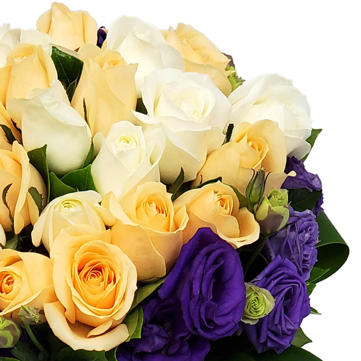 Detail view of a bouquet featuring cream and white roses, vibrant purple lisianthus, and hints of green buds, surrounded by foliage - 奶油與白玫瑰、鮮紫洋桔梗及綠色花苞組成的花束細節，襯以綠葉