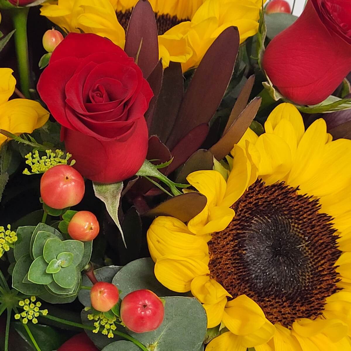 Close-up of sunflowers, red roses, and berries 黃色向日葵、紅玫瑰及紅色漿果特寫，搭配尤加利葉與深色葉材。