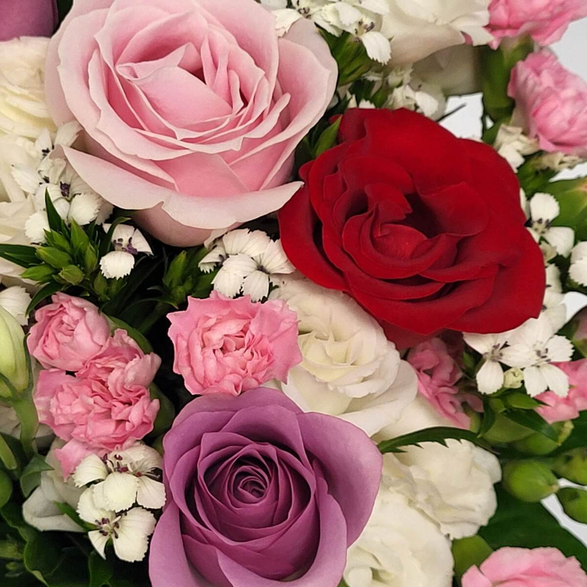 Close-up of mixed roses, lisianthus, and carnations - 粉紅、紅色及紫玫瑰特寫，配洋桔梗及粉紅迷你康乃馨與白色配花。