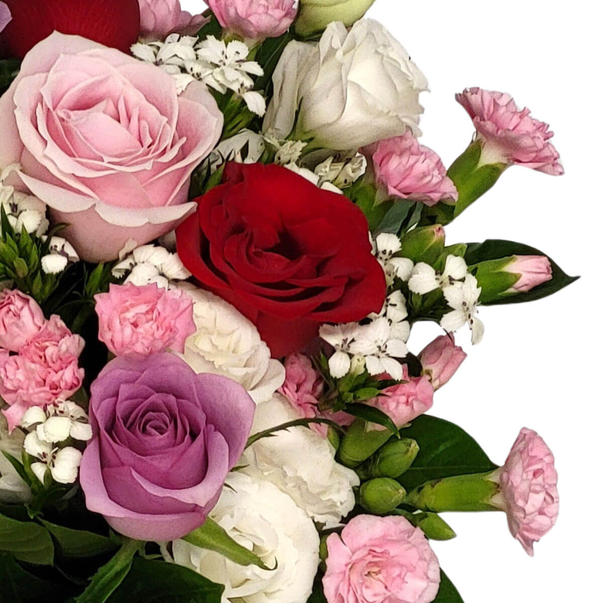 A tender ensemble of roses in red, blush pink, lavender, and white, accented by soft carnations and dainty blooms 多色玫瑰與粉嫩康乃馨交織，綻放愛與關懷的溫馨祝福。