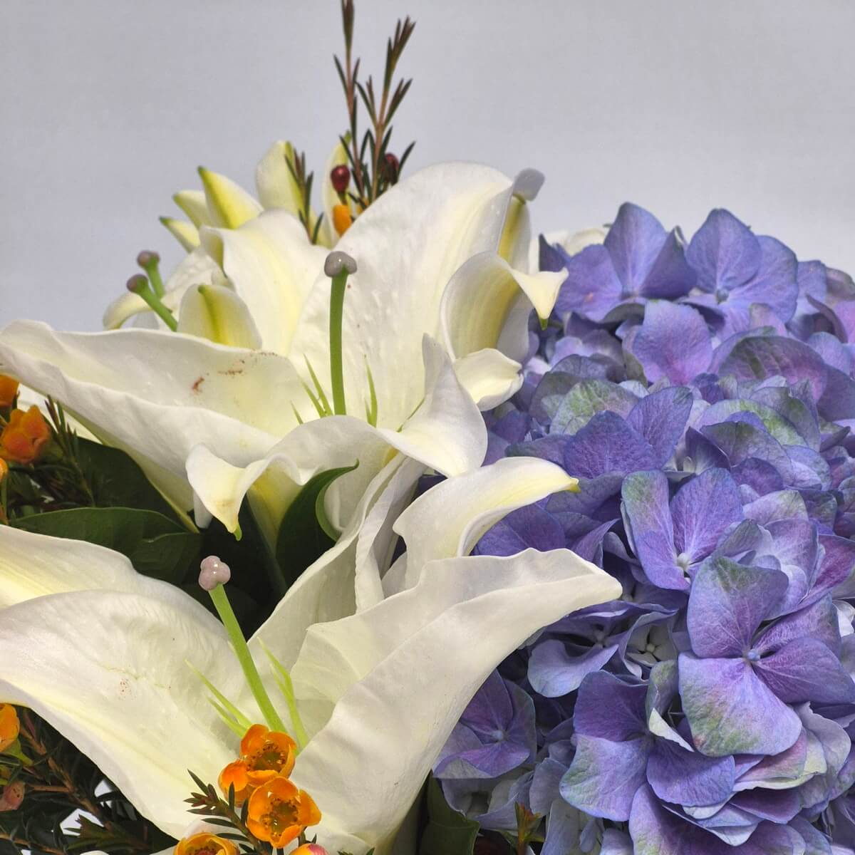 Spring Blessing