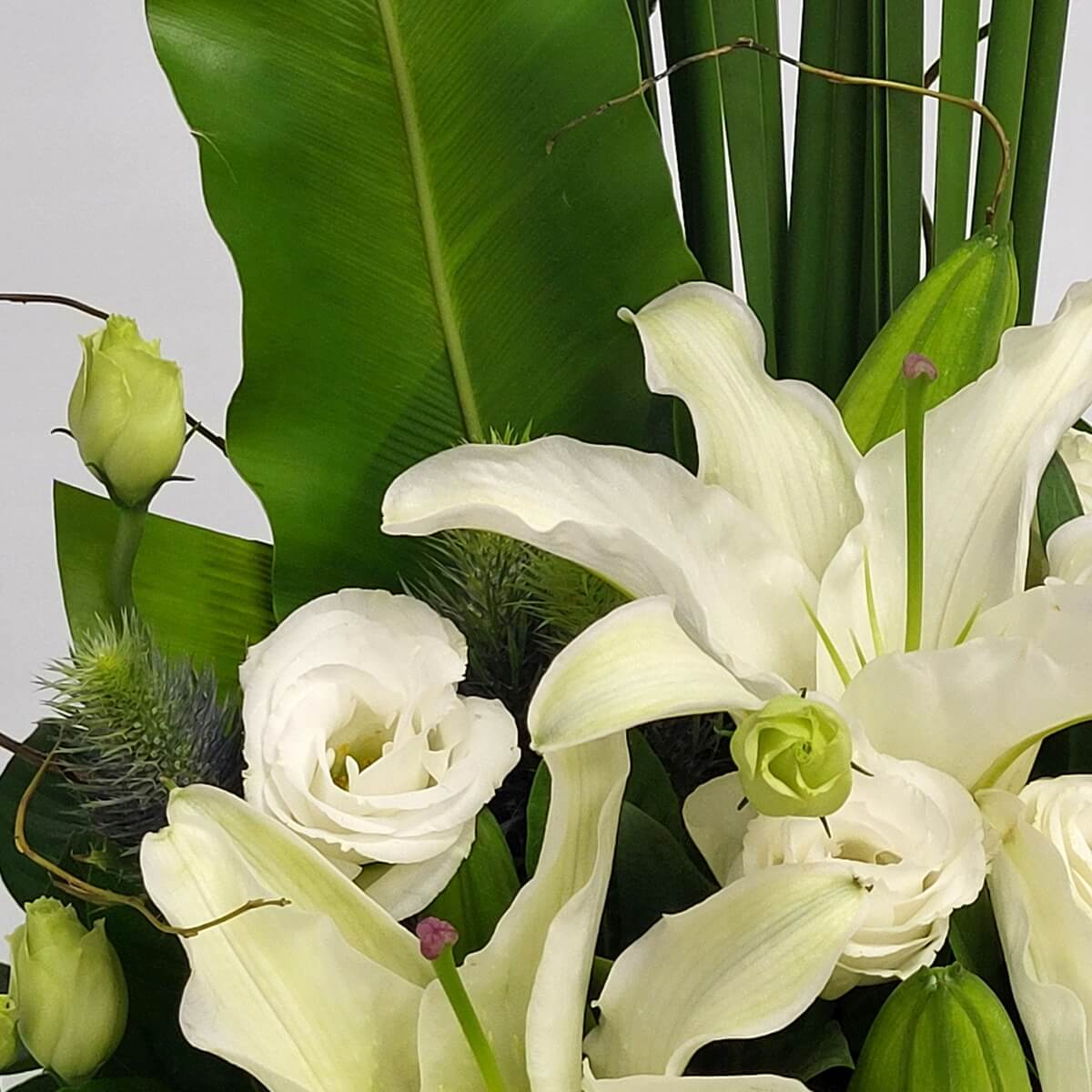 Close-up composition of blooming white lilies, lisianthus, green buds, blue thistle, and upright tropical foliage 白百合、洋桔梗、綠花苞、藍松球與直立熱帶葉材構圖特寫