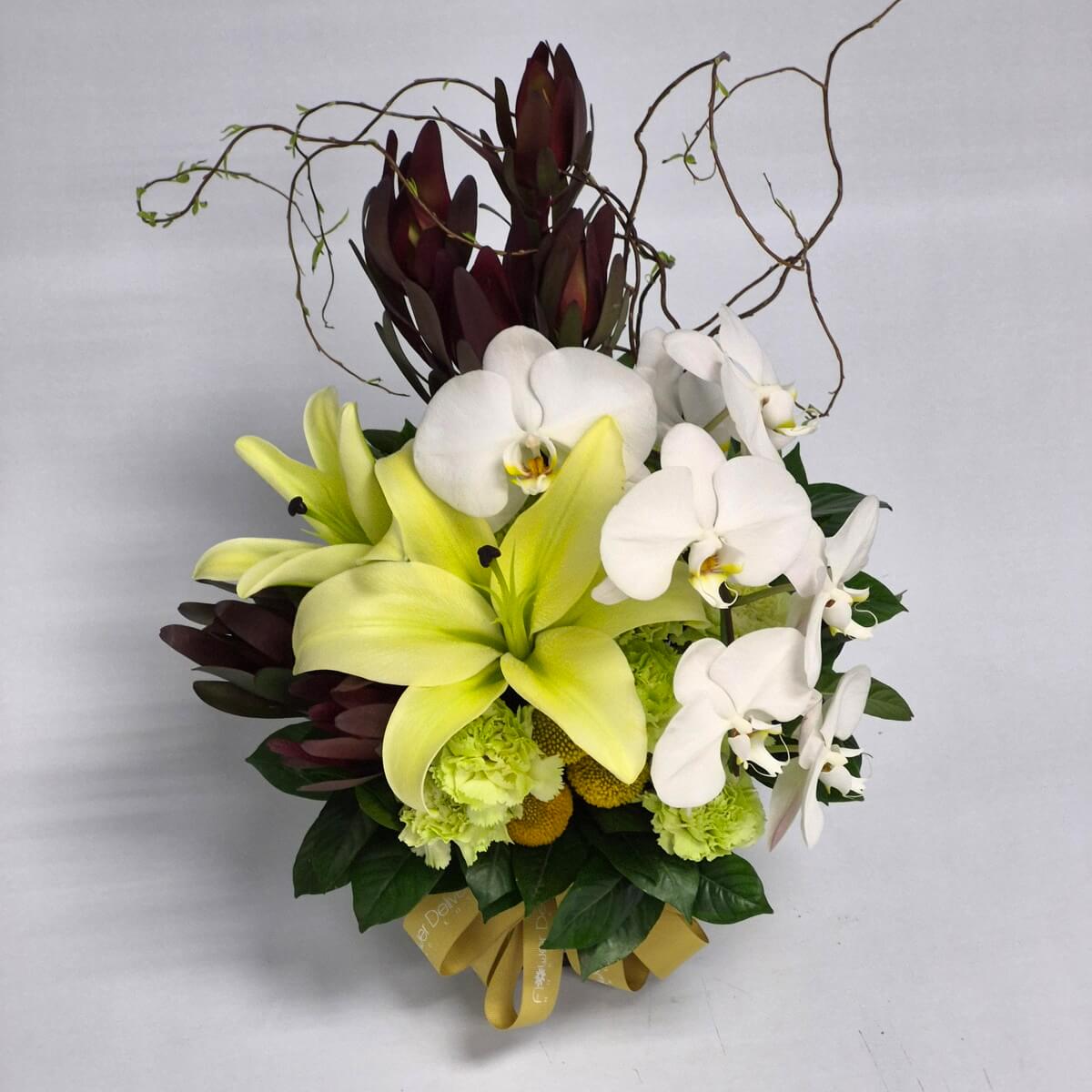 Elegant Lilies