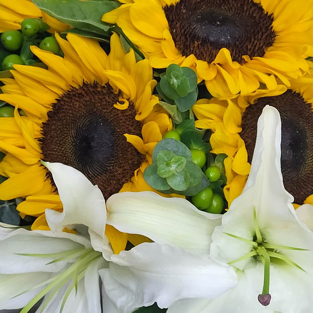 Close-up of vibrant yellow sunflowers and white lilies with green hypericum berries and eucalyptus foliage | 向日葵與百合特寫，點綴綠色漿果與尤加利葉片。
