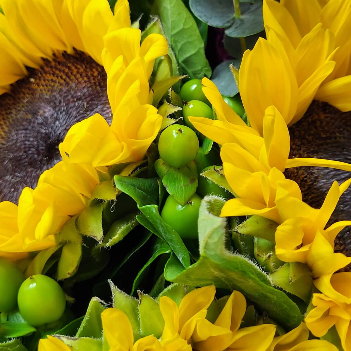 Zoomed-in view of vibrant sunflowers with green hypericum berries and leafy accents | 鮮黃色向日葵與綠色小金盞果實細節特寫，搭配層次豐富的綠葉。