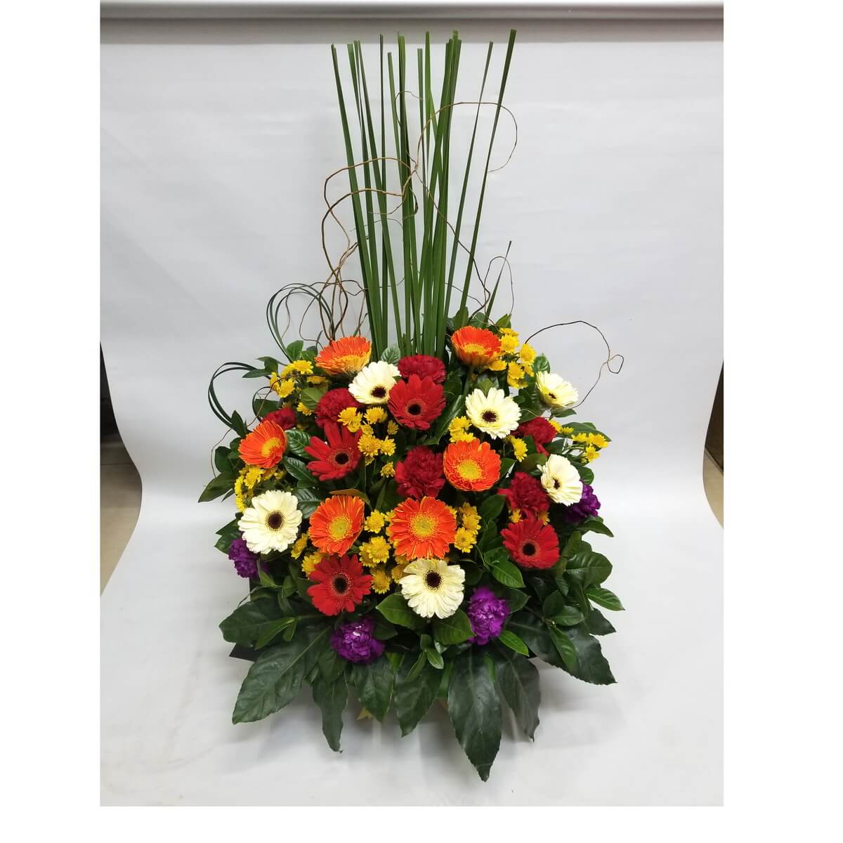 Vibrant gerberas in red, orange, yellow, and white accented with purple blooms and tall greenery 盛開的紅、橙、黃、白色太陽菊，搭配紫花與高挺綠葉，打造氣勢非凡的花籃設計。