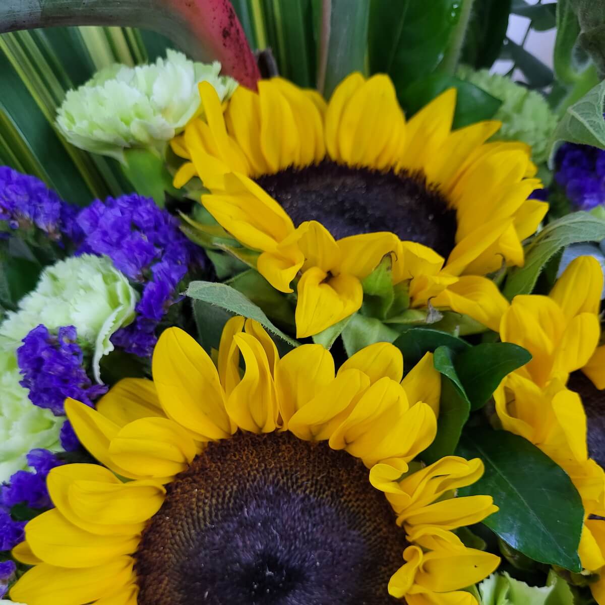 Detailed view of bold yellow sunflowers accented by light green carnations, deep purple statice, and lush foliage | 鮮黃色向日葵特寫，搭配嫩綠康乃馨、深紫勿忘我及濃綠葉片，構圖豐富。