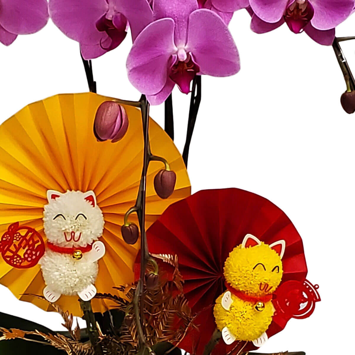 Elegant purple orchids with lucky cats on red and yellow fans 紫色蝴蝶蘭搭配紅黃紙扇與白黃招財貓，洋溢著新年祝福與喜慶氛圍。