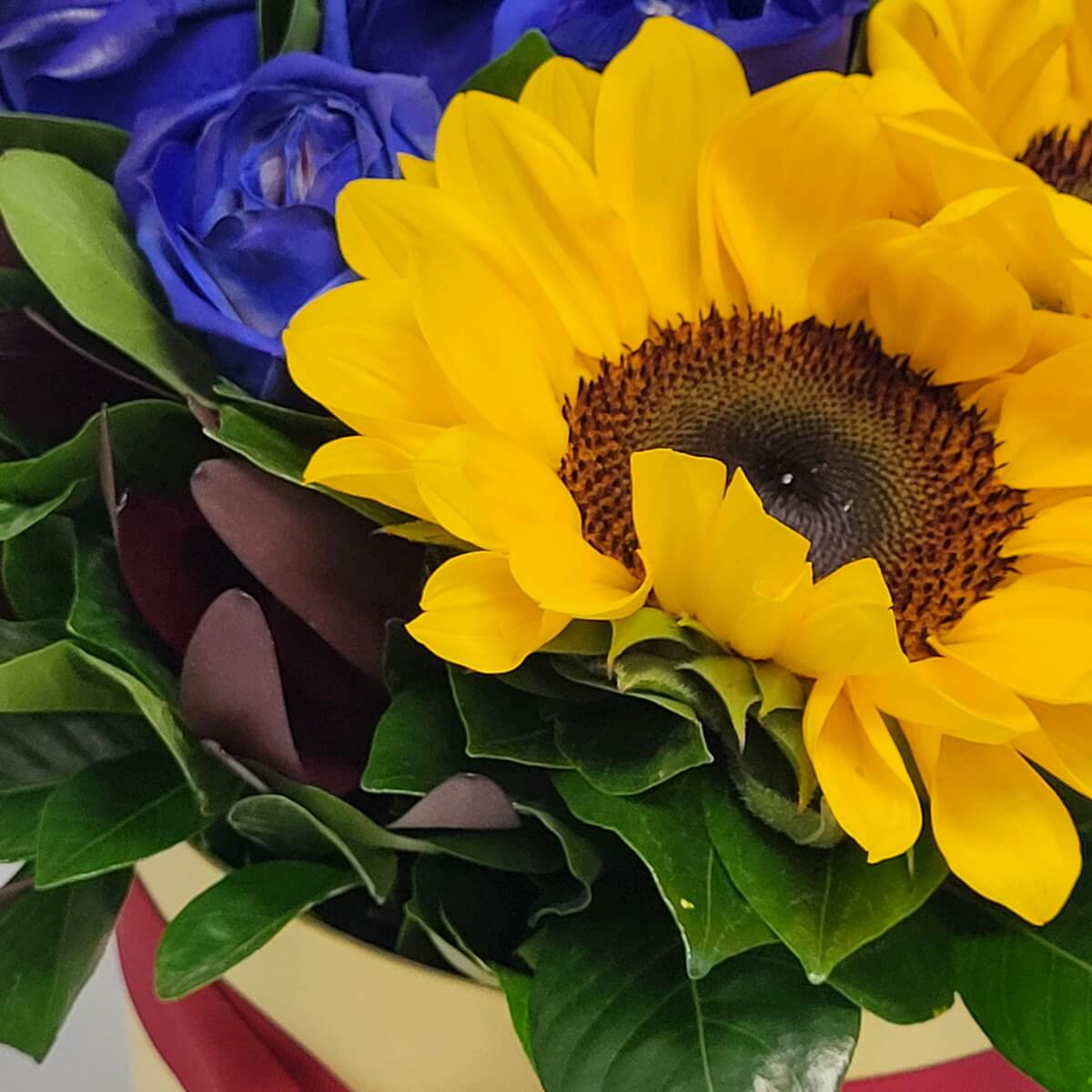 Zoomed-in view showing vibrant sunflower with rich green foliage and deep blue roses in a round floral box 鮮亮向日葵、濃綠葉材與深藍玫瑰組成的圓形花盒插花特寫