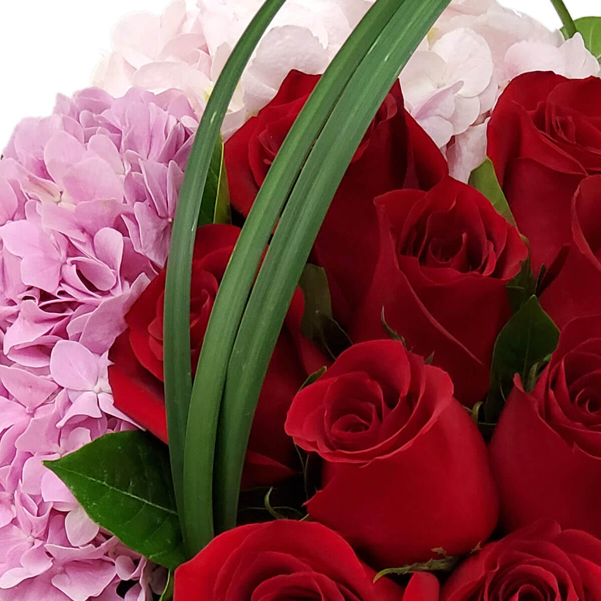 Detail view of a floral arrangement with vibrant red roses, light and mauve pink hydrangeas, and curved decorative greenery - 鮮紅玫瑰配淺粉與粉紫繡球花及彎曲綠葉裝飾的花藝細節圖