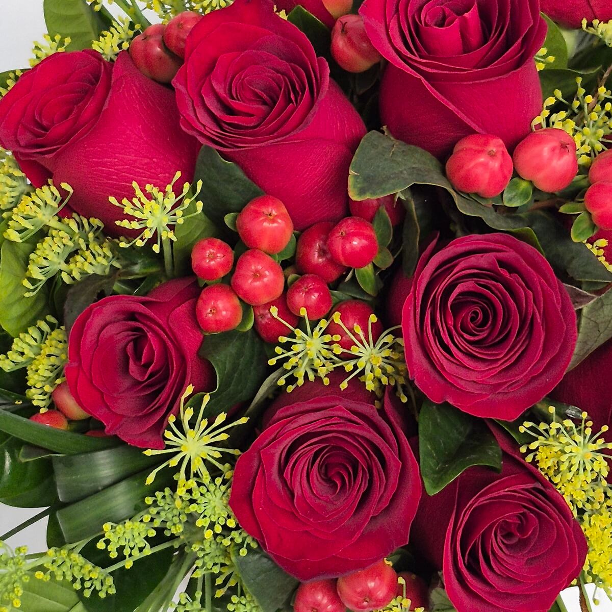 Close-up photo of red roses with red hypericum berries and yellow dill flowers - 紅玫瑰配紅果金絲桃及蒔蘿花特寫