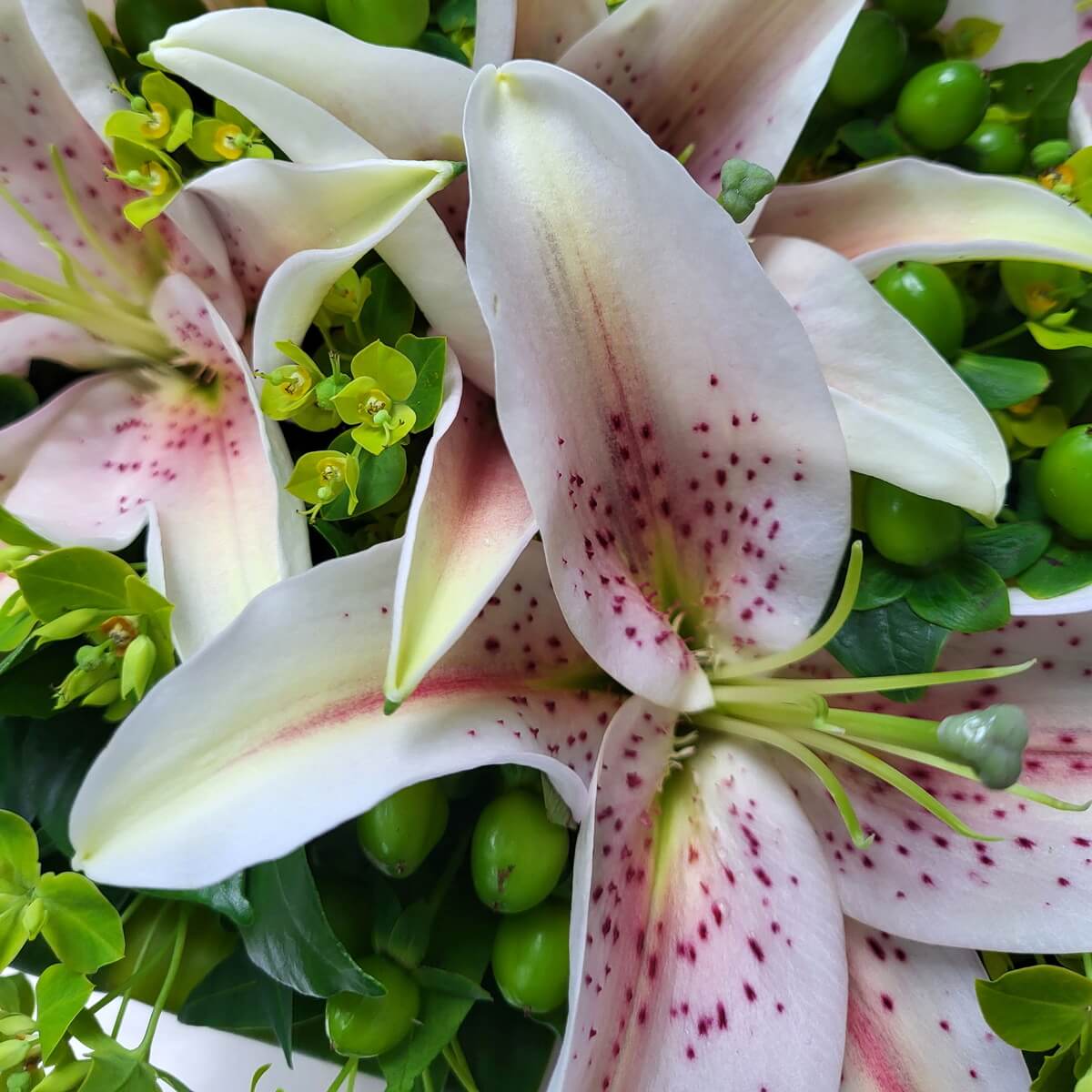 Detailed view of pink-dotted lilies accented with green hypericum berries and bright green euphorbia | 粉紅斑點百合特寫，搭配綠色高山莓及鮮綠大戟花葉點綴