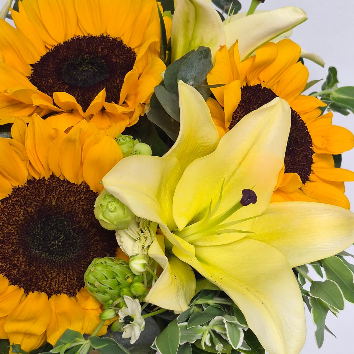 Macro view of sunflower and yellow lily with light green lisianthus and white ornithogalum arabicum flowers - 微距視角向日葵與黃色百合配淡綠洋桔梗及白色阿拉伯星花