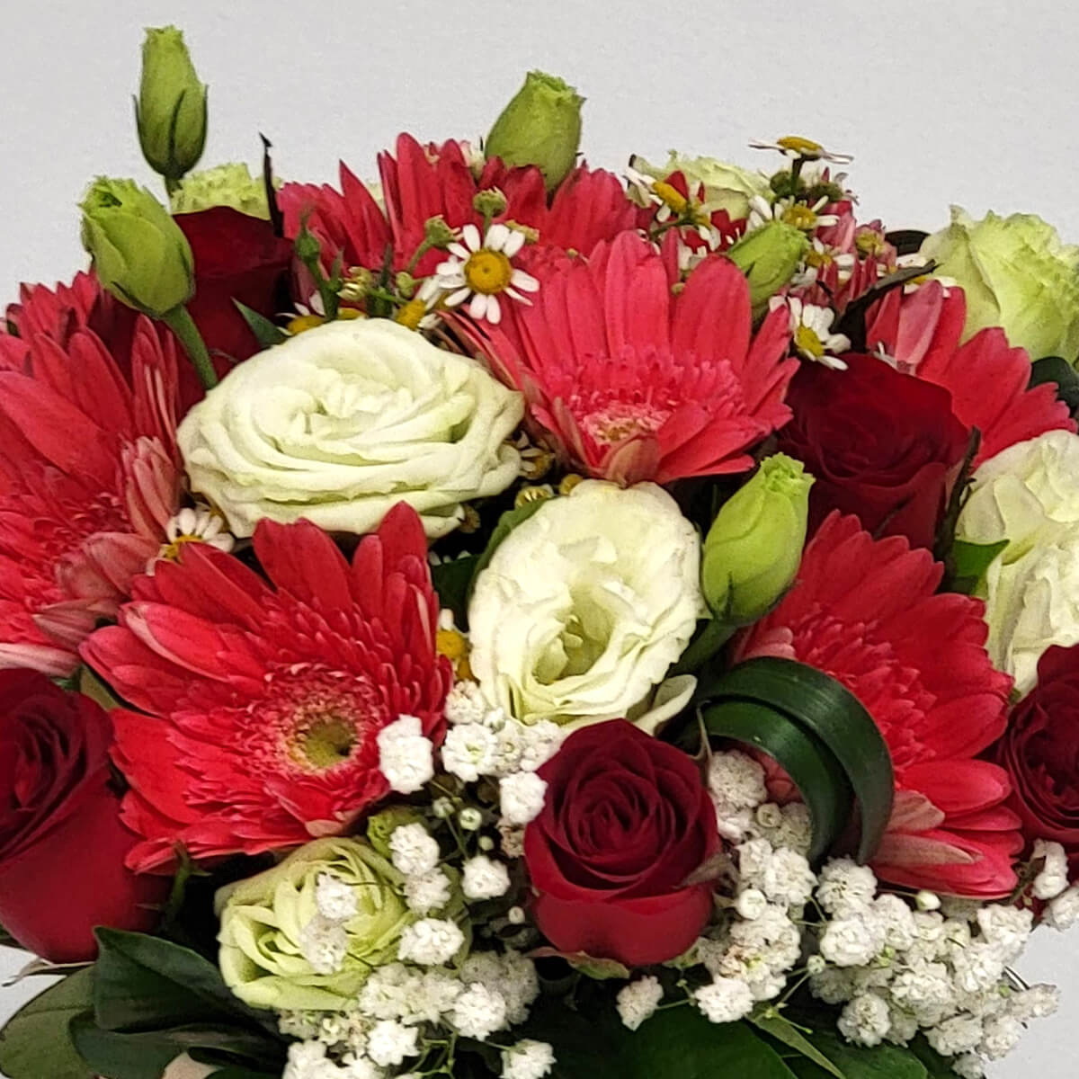 Close-up of red gerberas, white lisianthus, red roses, and baby’s breath - 紅非洲菊、白洋桔梗、紅玫瑰及滿天星特寫