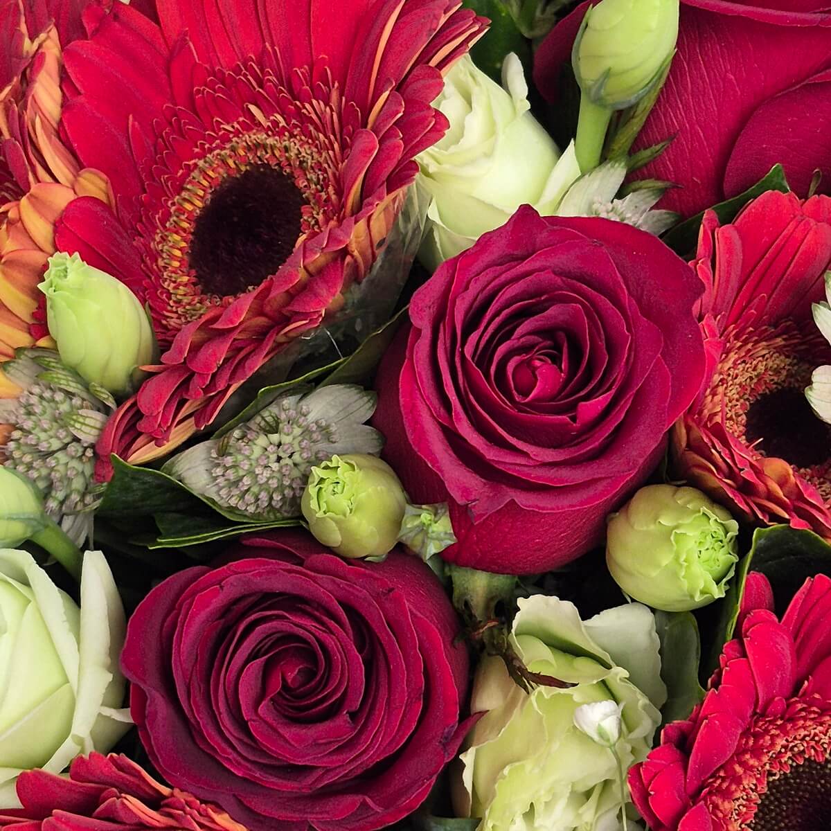 Close-up of red roses and red gerbera flowers with white blooms - 紅玫瑰與紅色非洲菊配白色花材花藝細節特寫