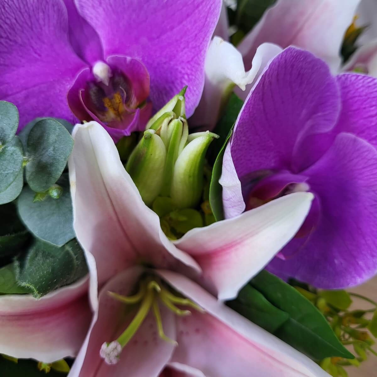Close-up of pink lily, vivid purple orchid, unopened lily buds, eucalyptus, and leafy greens | 粉百合、鮮紫蘭花、百合花苞、尤加利葉及深綠葉片特寫畫面。