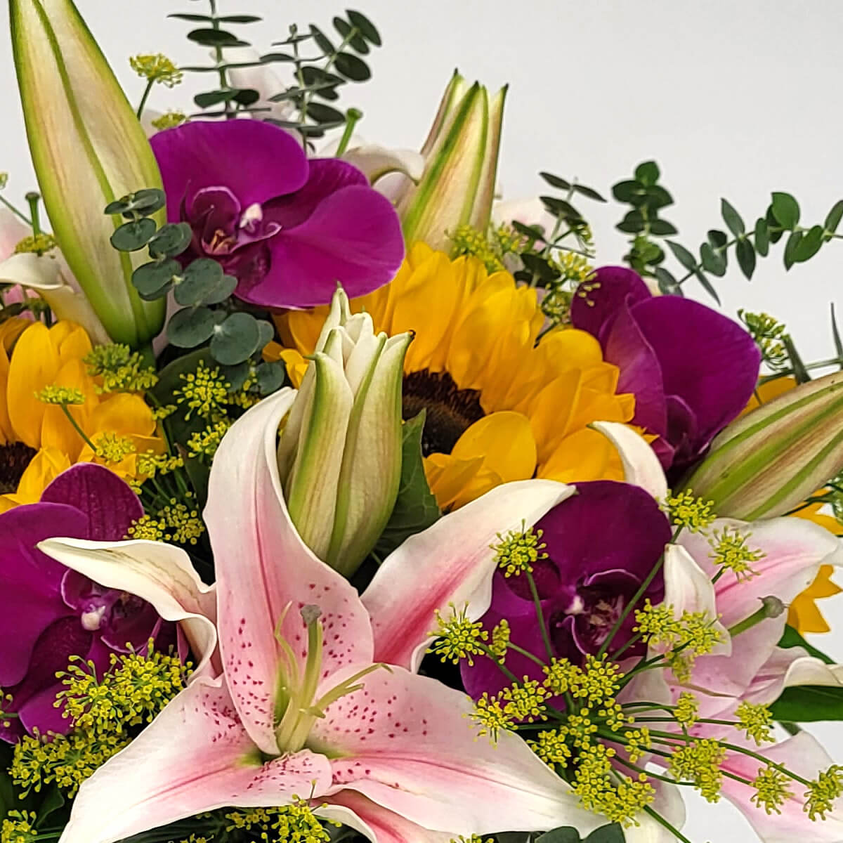 Close-up of fresh pink stargazer lilies, deep purple phalaenopsis orchids, vibrant yellow sunflowers, and green floral fillers - 粉紅香水百合、深紫蝴蝶蘭、鮮黃色向日葵與綠色配花特寫，色彩對比鮮明