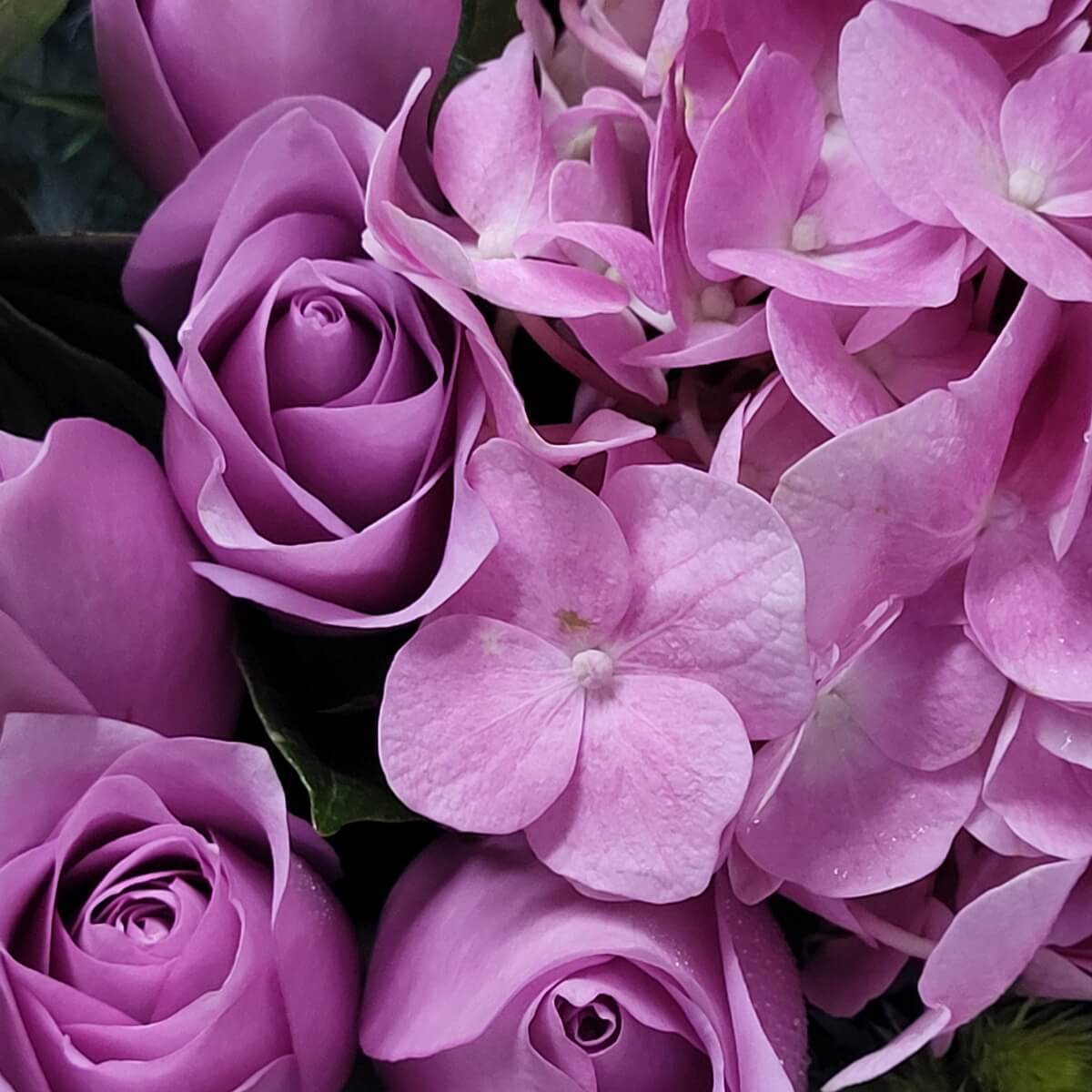 Detail view of lavender roses and soft pink hydrangeas arranged in a rich, monochromatic palette 淡紫玫瑰與柔粉繡球花組成的單色調特寫花藝構圖，色彩層次豐富
