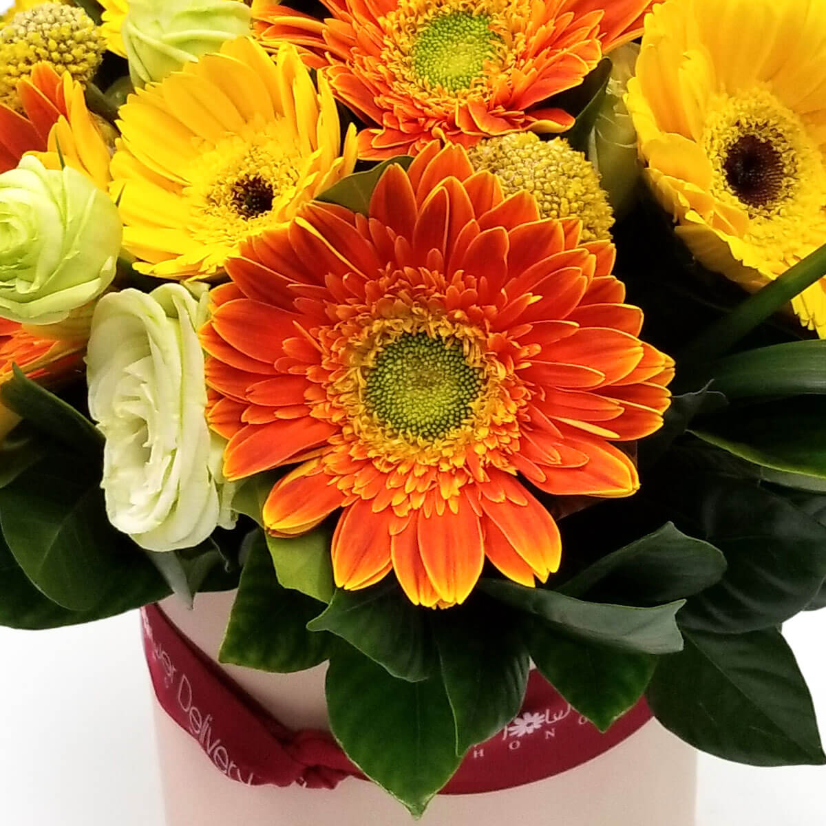 Detail view of vibrant orange and yellow gerberas, accented with creamy white ranunculus and glossy green leaves, arranged in a hatbox style - 鮮橙與亮黃非洲菊配白色毛茛與亮綠葉，圓形花盒設計的花藝細節圖