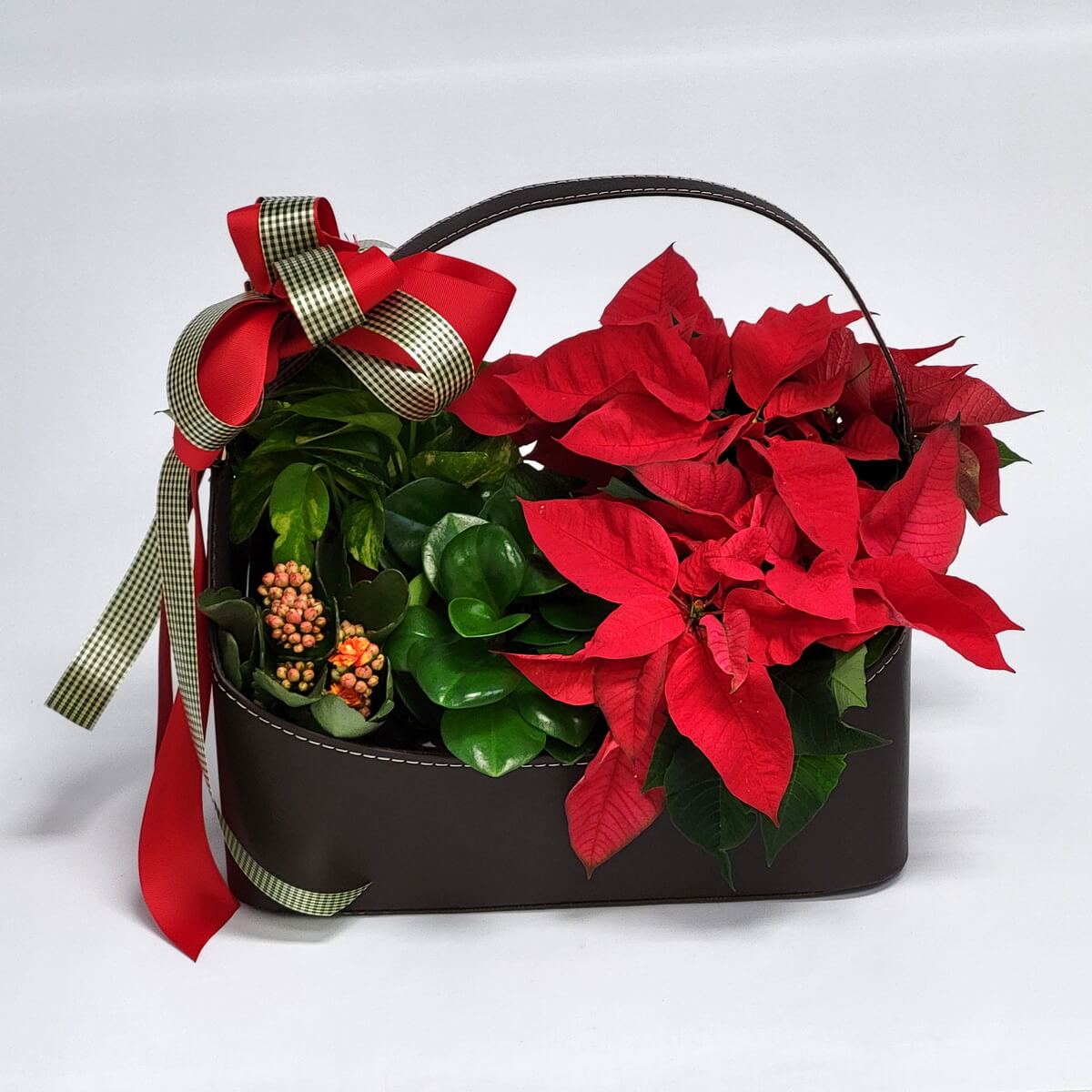 Arrangement of red poinsettias with assorted green foliage and clustered berry-like buds in a floral basket 紅色一品紅配搭各種綠葉及果實花苞，整齊擺放於花籃中，綴以紅色格紋絲帶。