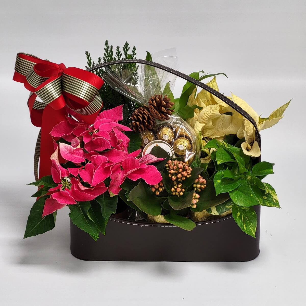 Arrangement of pink and cream poinsettias with pinecones, assorted greenery, and Ferrero Rocher chocolates 粉紅及奶油色一品紅搭配松果、綠葉及朱古力花藝擺設。