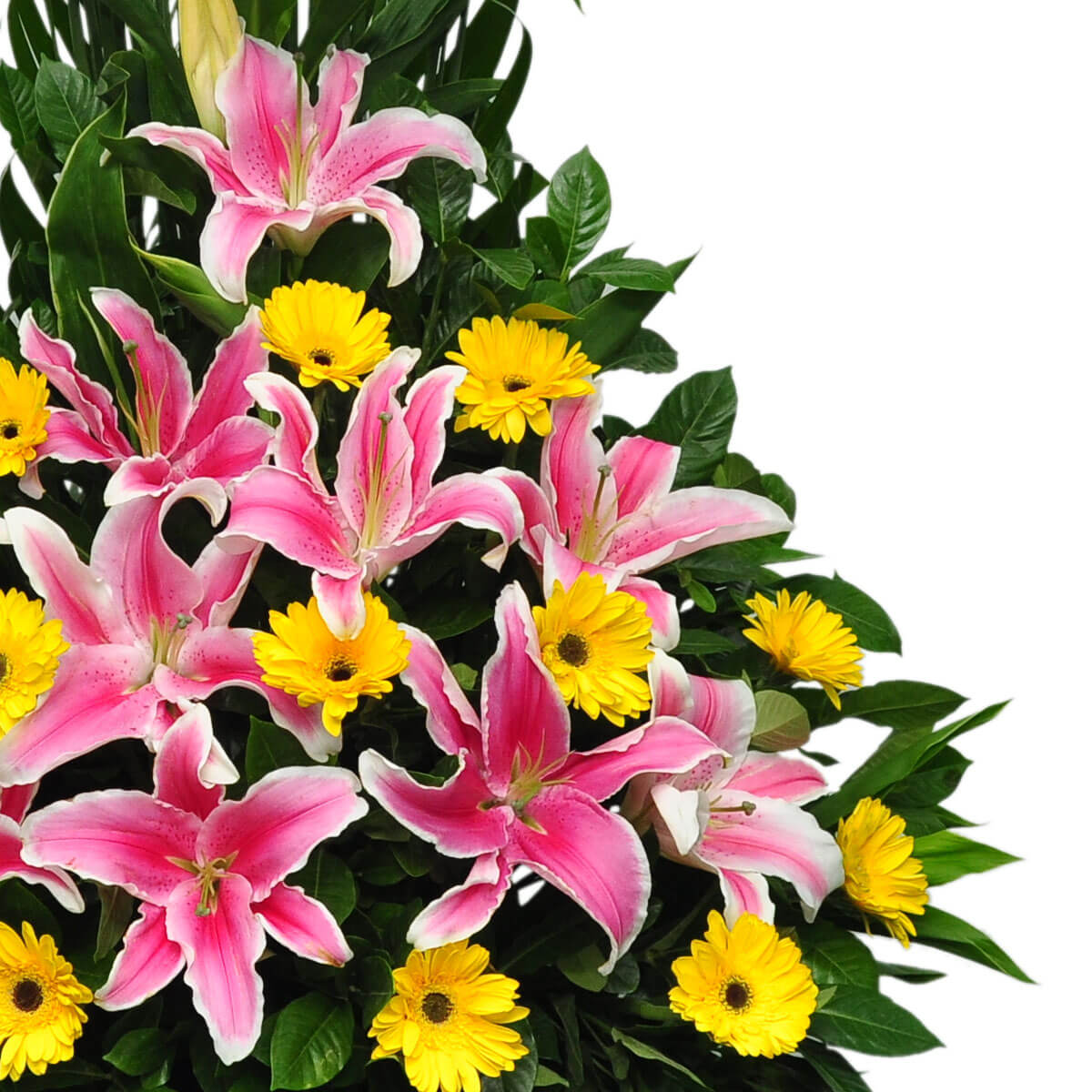 A vibrant floral arrangement featuring blooming pink lilies and bright yellow daisies, set against a backdrop of rich green leaves – 盛開粉紅百合與明亮黃雛菊，搭配濃綠葉片的繽紛花卉擺設