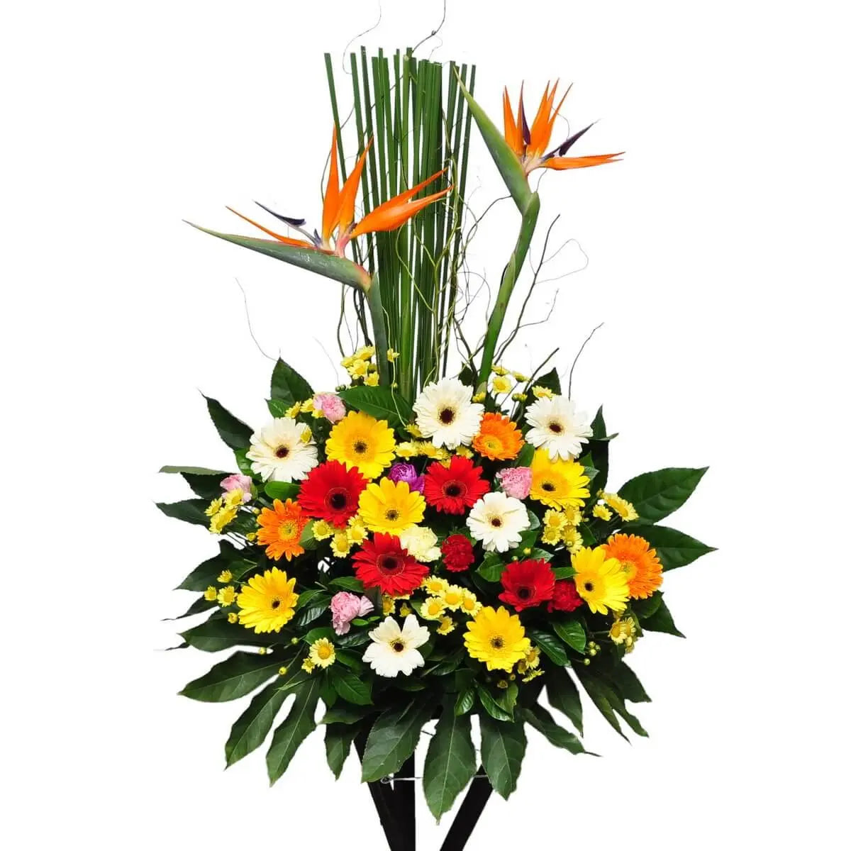 Standing floral arrangement with red, yellow, white, and orange gerberas, bird of paradise, yellow button chrysanthemums, and greenery | 紅、黃、白、橙色非洲菊配以天堂鳥、黃色乒乓菊及綠葉，設計成大型站立式花牌。