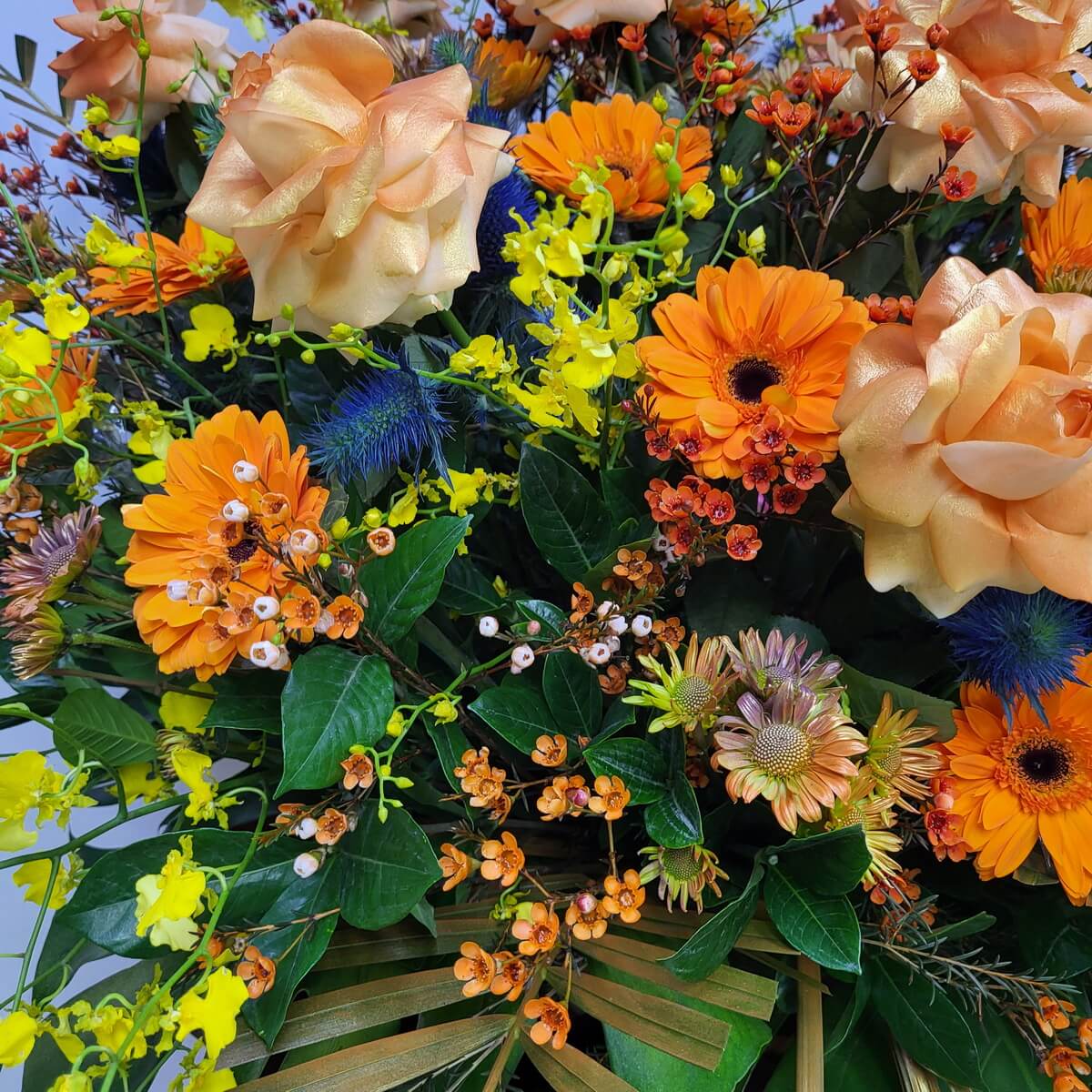 Close-up floral detail featuring orange roses, orange gerberas, yellow oncidium orchids, blue thistles, peach-toned chrysanthemums, and waxflowers - 橙玫瑰太陽菊黃文心蘭藍薊粉橙菊花與蠟花特寫