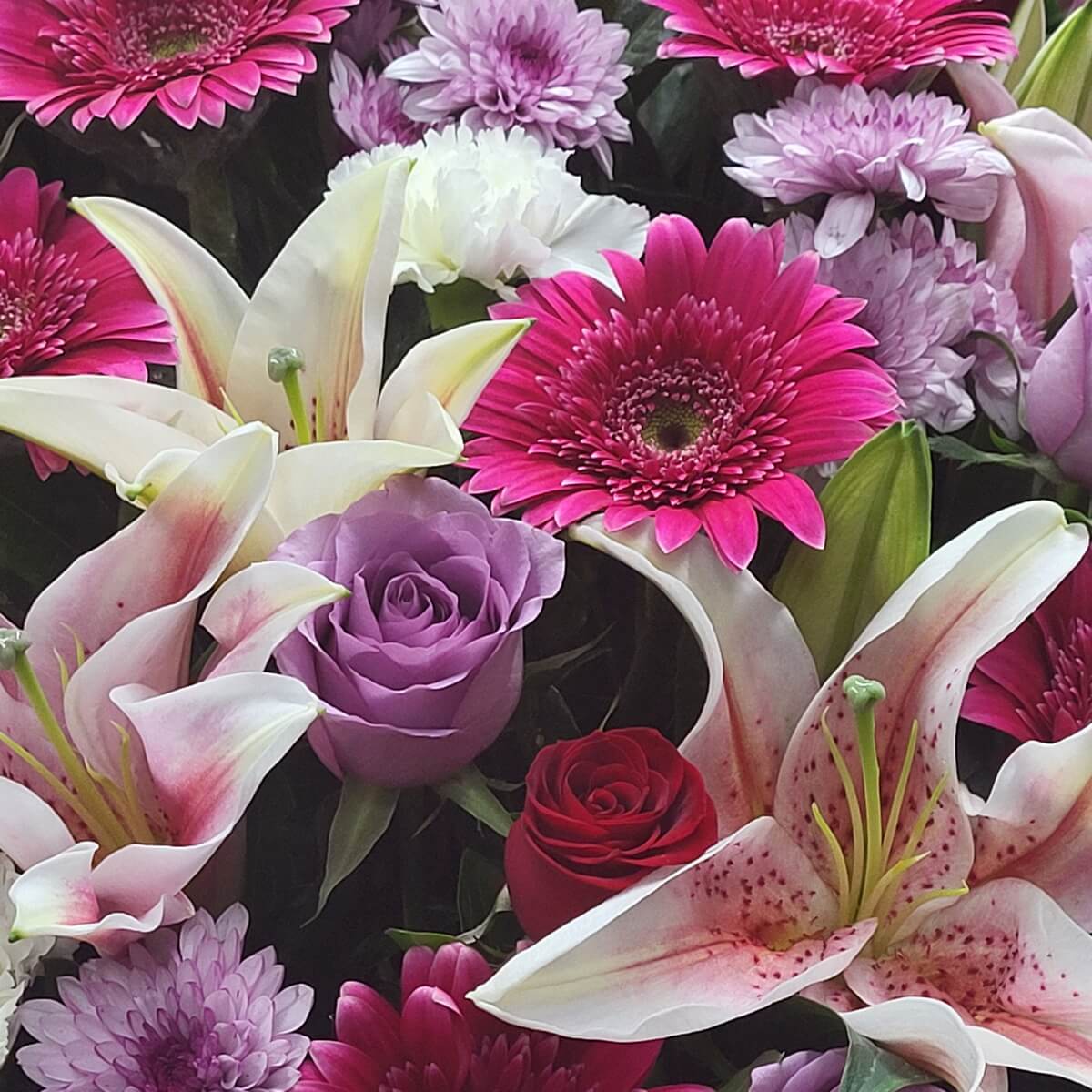 Close-up of pink lilies, magenta gerberas, lavender and red roses, and lilac chrysanthemums | 花束特寫呈現粉百合、玫紅非洲菊、紫紅玫瑰與淡紫色菊花，質感細膩柔美。