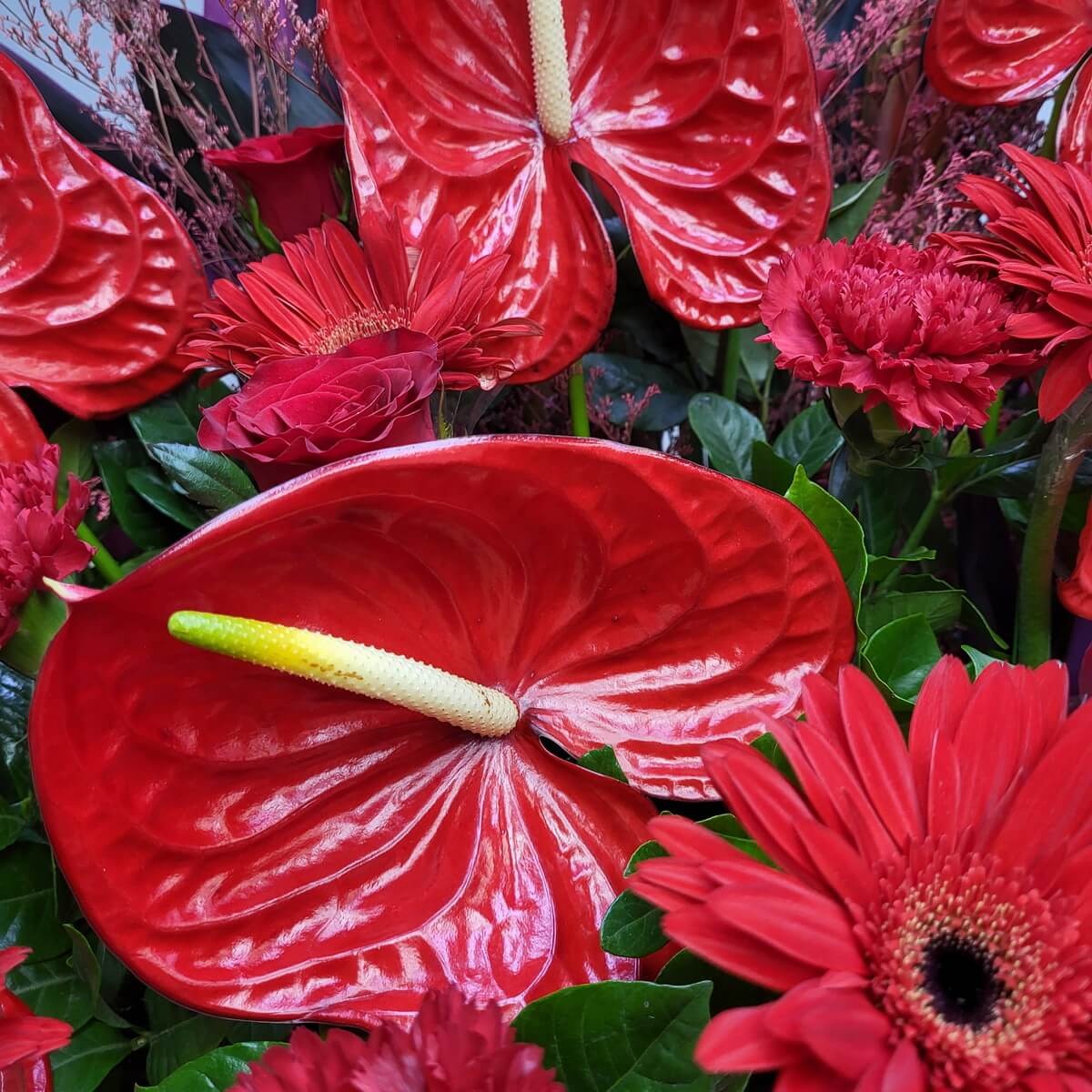 Detailed view of red anthuriums with textured spathes, paired with red gerberas, carnations, roses, and green foliage | 紅色火鶴花特寫，葉片有紋理，搭配紅色非洲菊、康乃馨、玫瑰及綠葉襯托