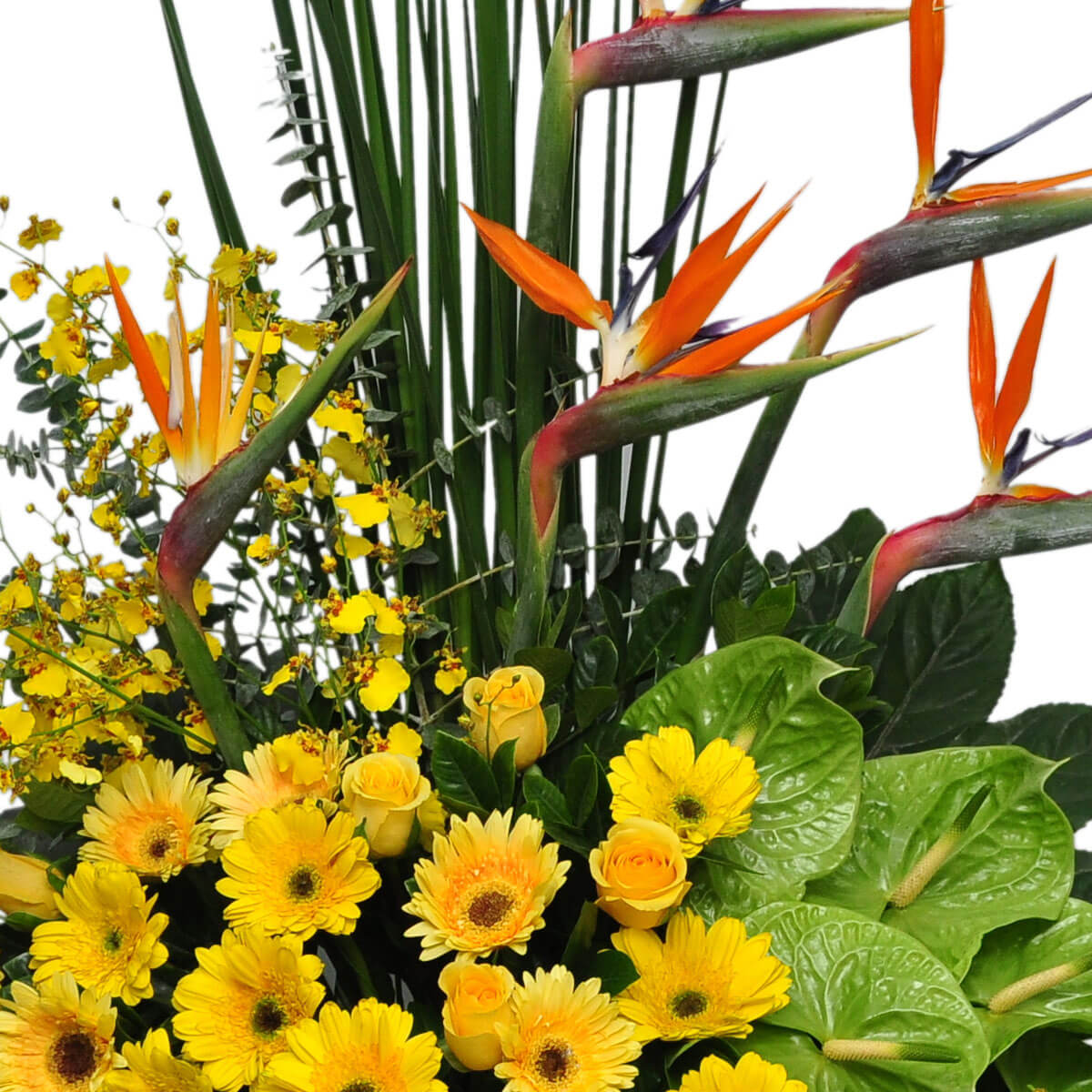 Tropical floral display featuring Birds of Paradise, yellow roses, gerbera daisies, orchids, and green anthuriums – 熱帶風格花藝，包含天堂鳥、黃玫瑰、太陽菊、蘭花與綠色火鶴花
