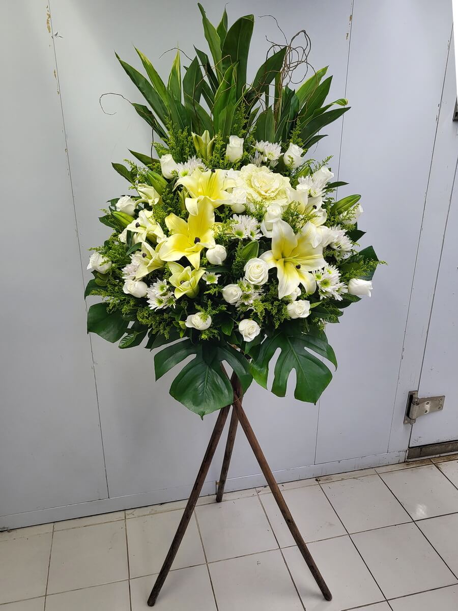 追憶