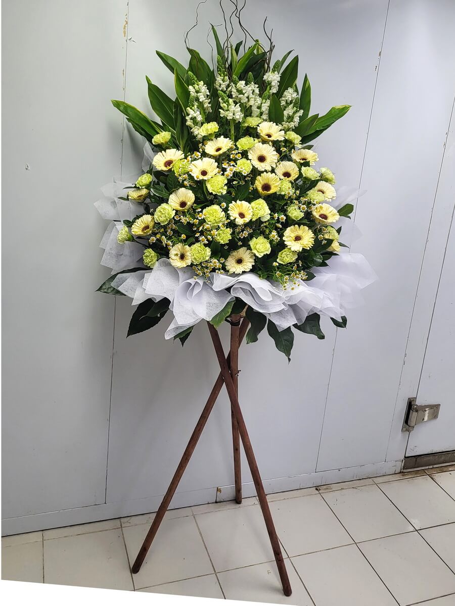光耀一生