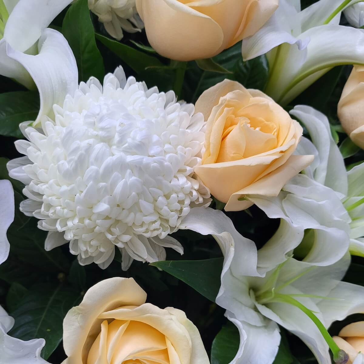 Close-up of white chrysanthemum, peach roses, and lily petals | 白菊、蜜桃玫瑰與百合花瓣特寫。